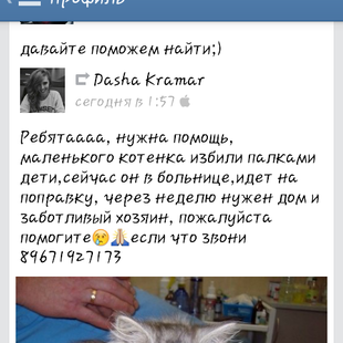 Давайте поможем найти котенку дом! !!! Давайте поможем найти котенку дом! !!!