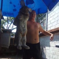 Продам кроликов породы Немецкий Ризен Великан есть взрослые и молодняк
