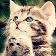 My Avatar