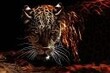 My Avatar