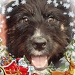 My Avatar