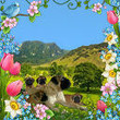My Avatar