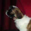 My Avatar