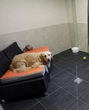 ZOOHOTEL